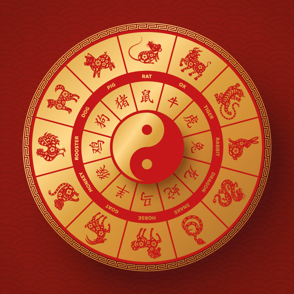 Chinese Zodiac Guide： Exploring the Intriguing Compatibility of Snake and Boar