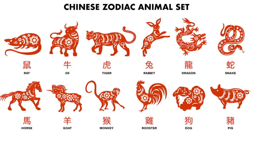 Chinese Zodiac Guide： Exploring the Intriguing Compatibility of Snake and Boar