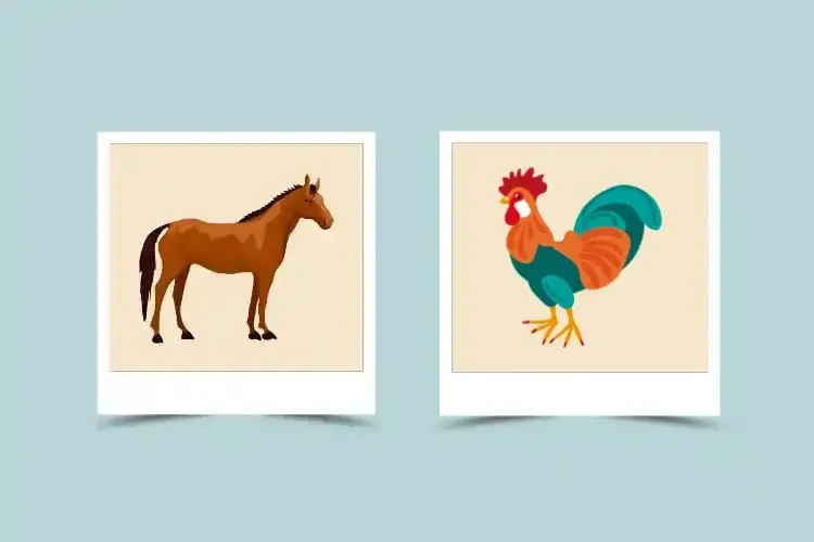 Horse Man and Rooster Woman Love Compatibility: Will They Find Lasting Happiness?