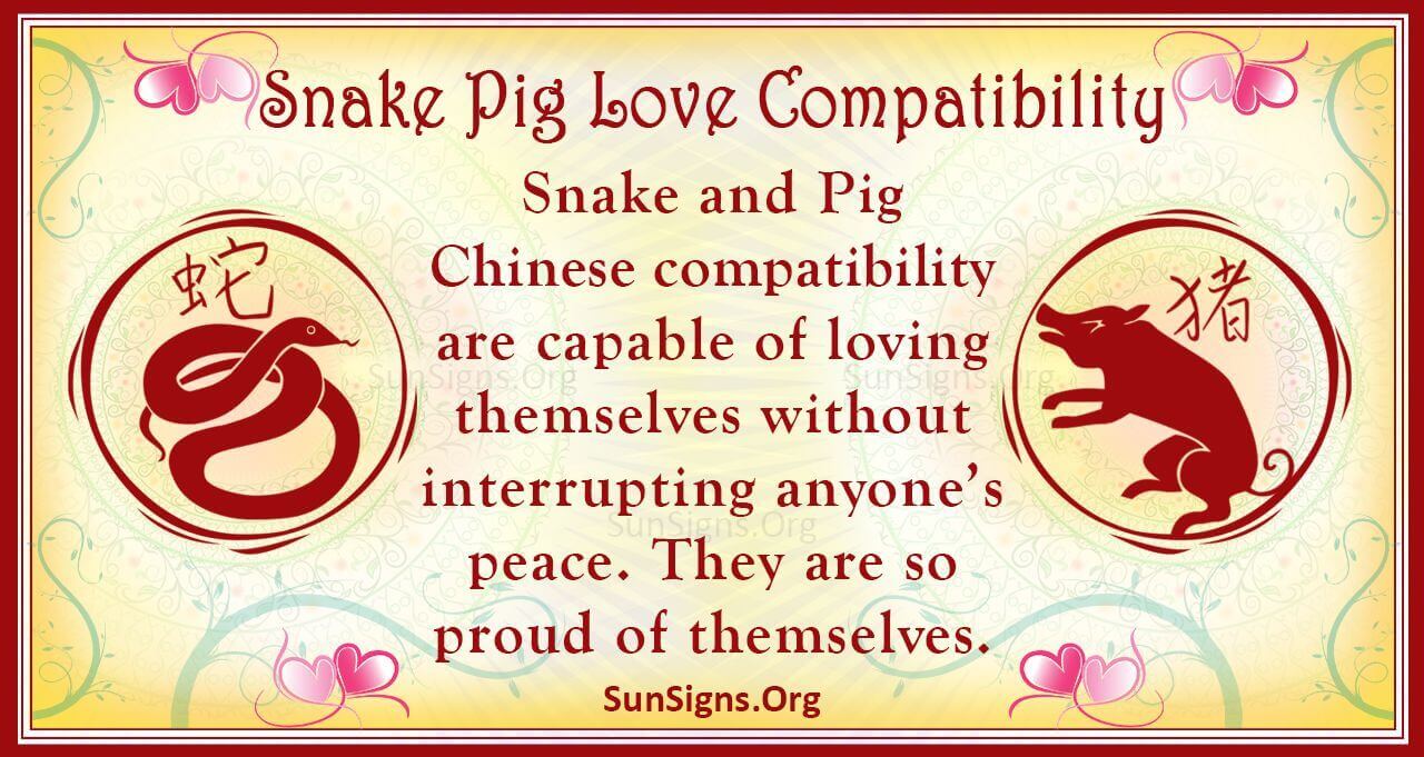 Snake and Pig Compatibility Explained: A Balanced Yet Challenging Love Match