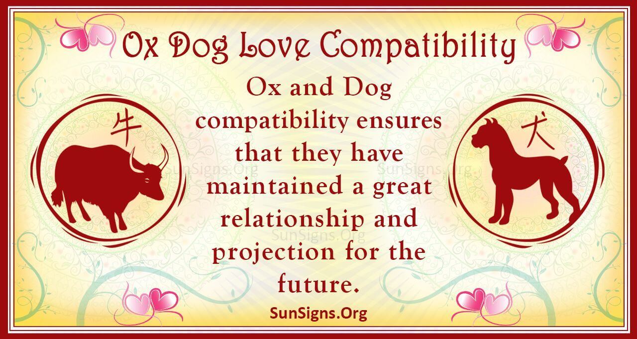 Dog and Ox Compatibility: Unveiling the Strengths and Challenges in Relationships