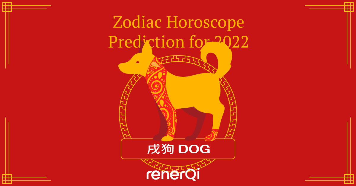 Today's Dog Horoscope: Insights and Predictions for Your Day