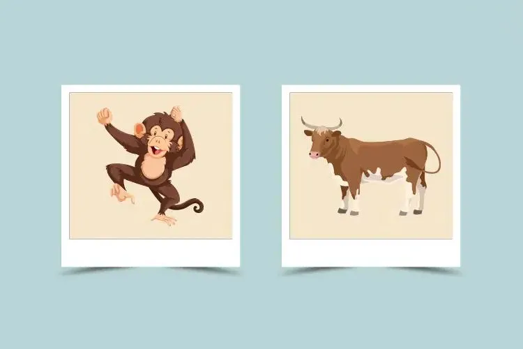 Monkey and Ox Zodiac Compatibility: Strengths, Challenges, and Relationship Tips