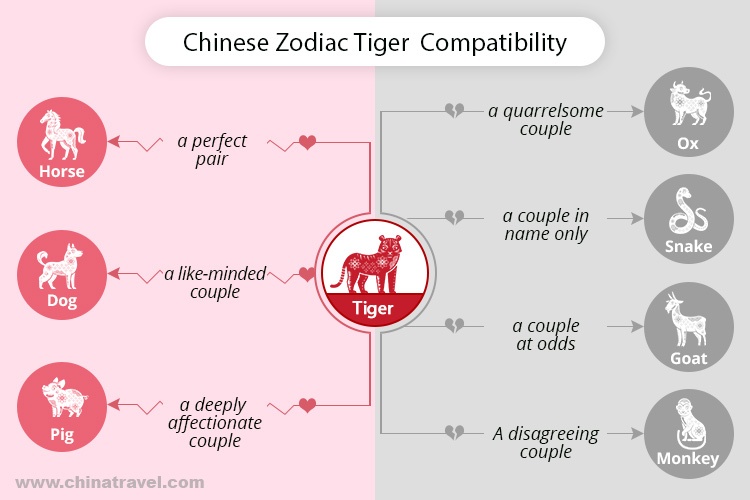 Understanding Tiger Man and Rat Woman Compatibility in Love and Marriage