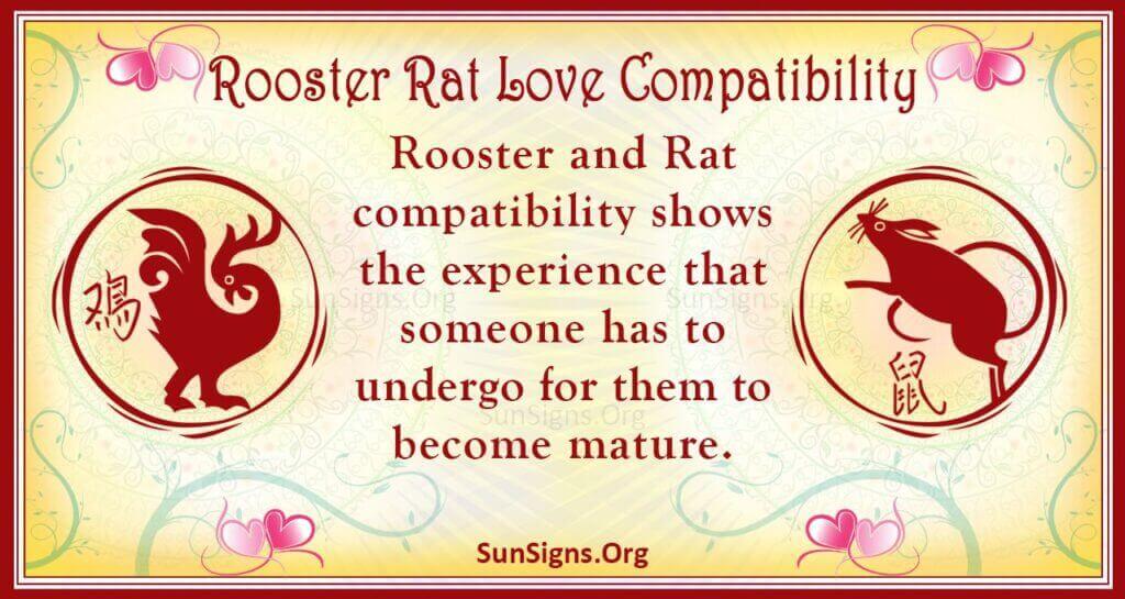 Rooster and Rat Compatibility: Can They Find Love and Harmony?