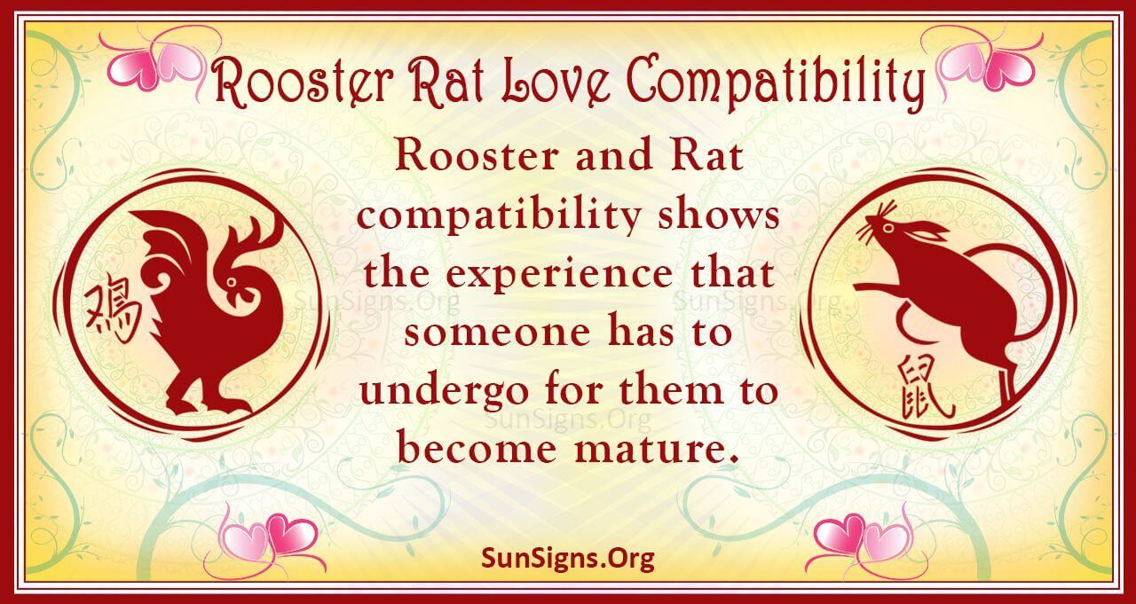 Understanding Rooster Woman and Rat Man Compatibility in Love