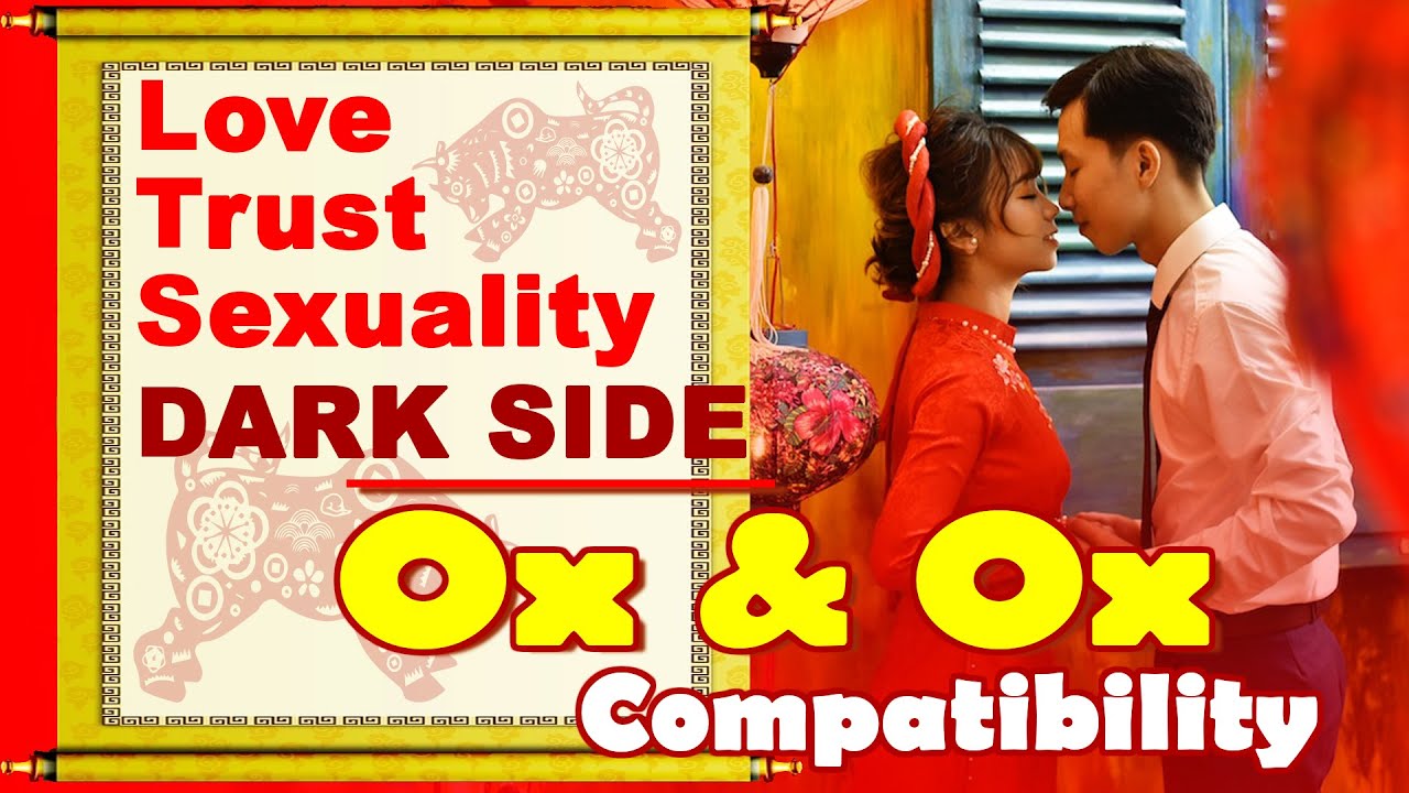 Ox and Ox Relationship Compatibility: How This Pair Thrives Together in Love and Life