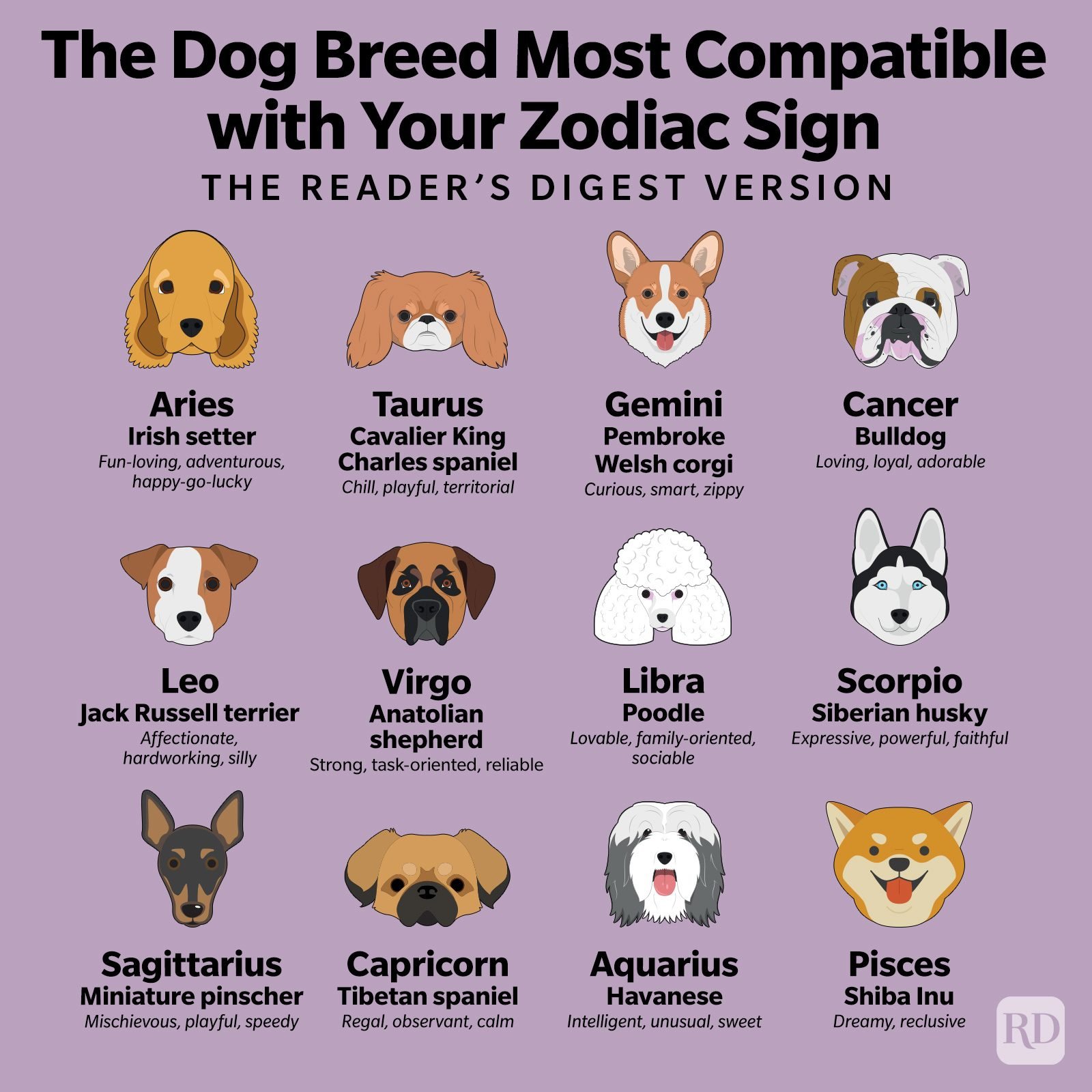 Are Dog Males and Rat Females Compatible? A Deep Dive into Zodiac Pairings