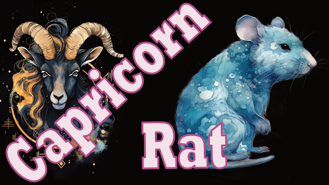 Capricorn Rat Horoscope: Love, Career, and Personality