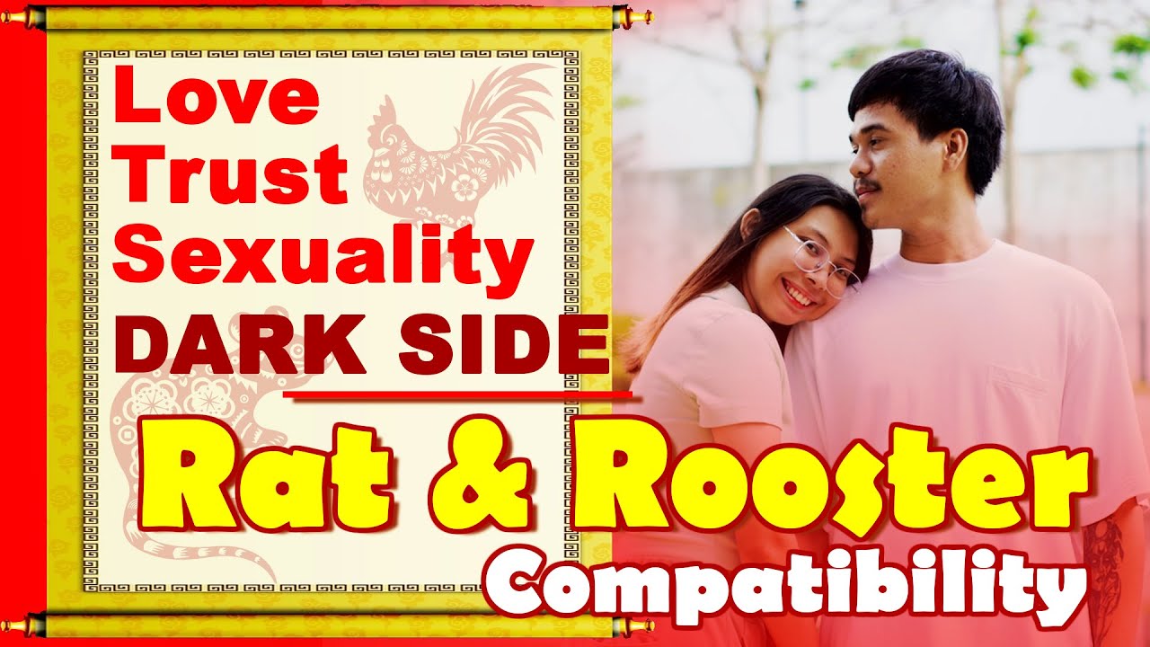 Understanding Rat and Rooster Compatibility in Relationships