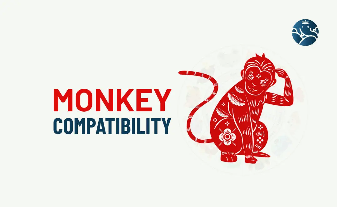 Monkey to Monkey Compatibility: The Simple Guide You Need