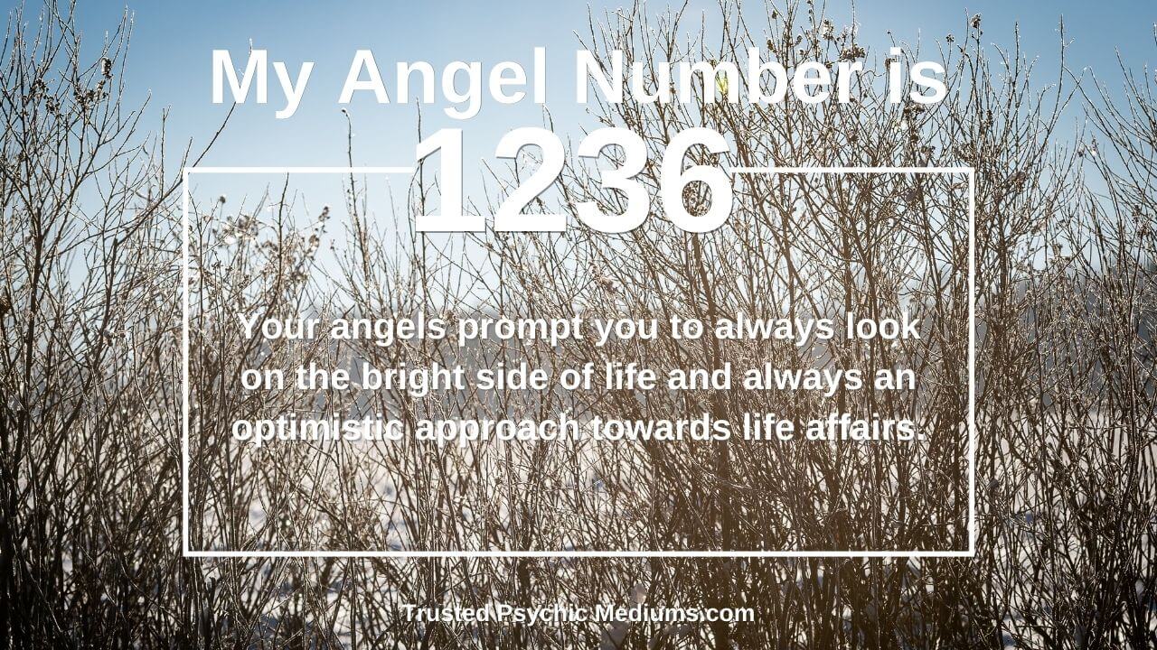 1236 angel number meaning and its special message for you.