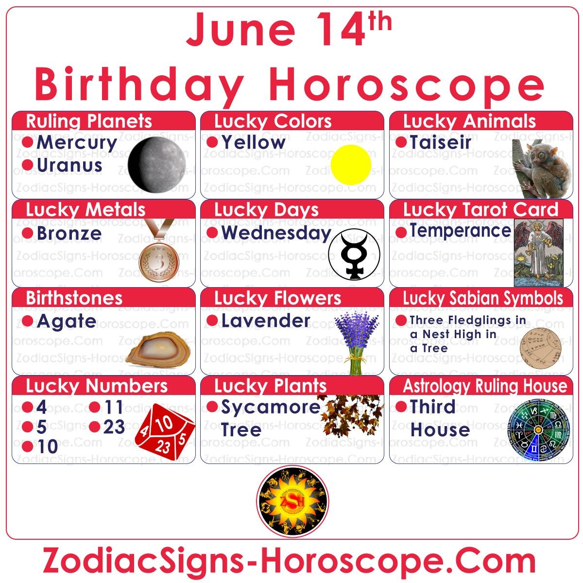 June 14 Birthday Horoscope: What Your Zodiac Sign Says About You