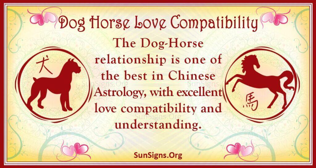 Understanding Horse and Dog Chinese Zodiac Compatibility