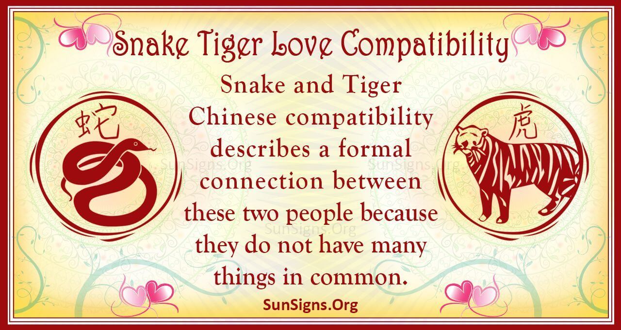 Tiger vs Snake: Understanding Their Compatibility in Love