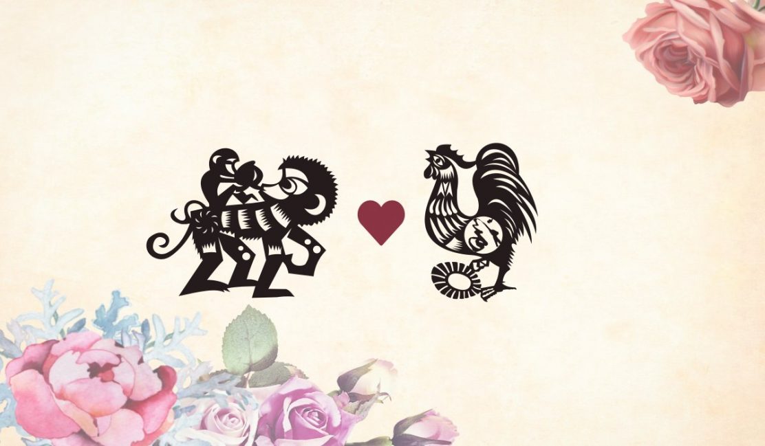 Monkey Man and Rooster Woman Love Compatibility: What to Expect?