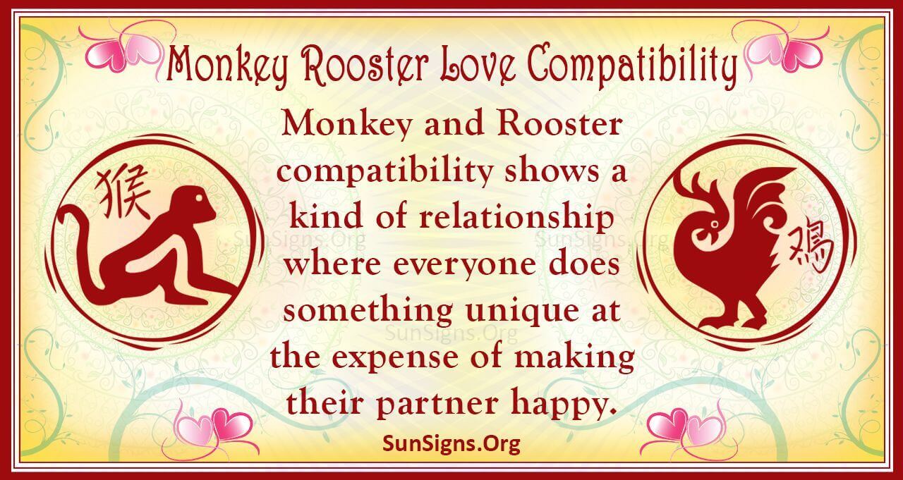 Monkey Man and Rooster Woman Love Compatibility: What to Expect?