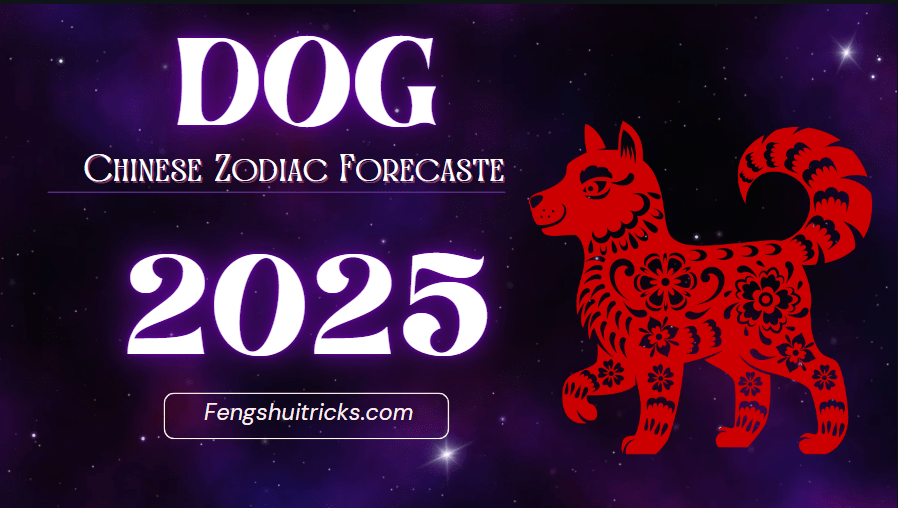 Wood Dog Horoscope Today: Whats in Store for You?