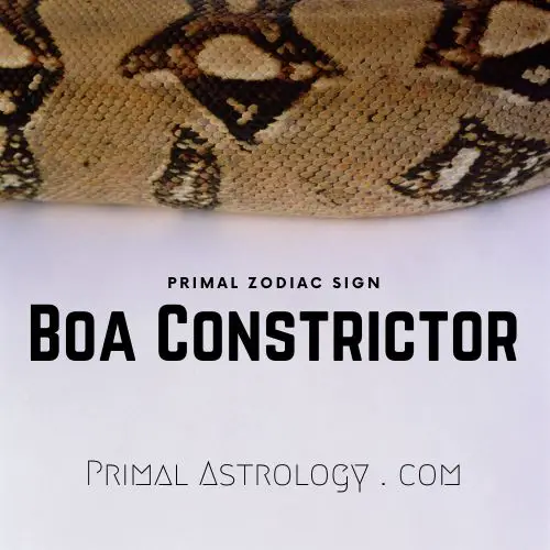 Deep Dive into Aquarius Snake: Your Primal Astrology Boa Constrictor Guide