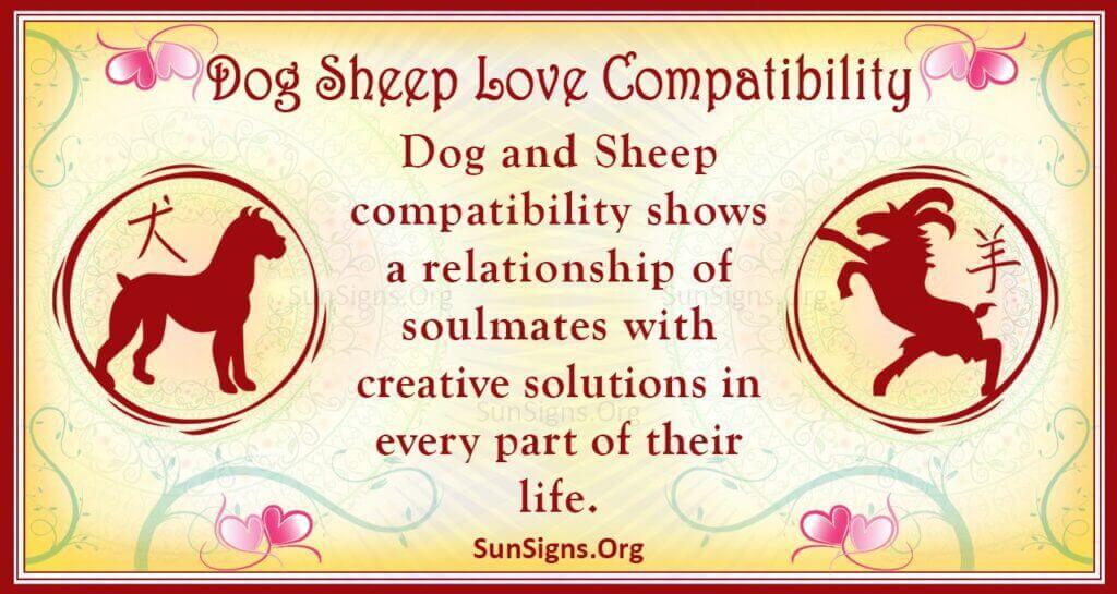 Dog Sheep Compatibility: Tips for a Harmonious Farm