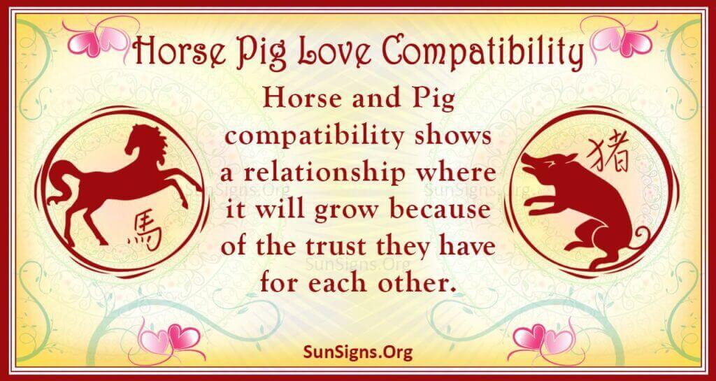 Horse and Pig Compatibility:  Tips for a Lasting Relationship