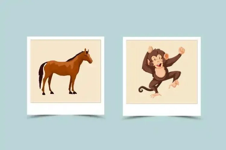 Can Horse and Monkey Zodiac Signs Find Happiness Together?