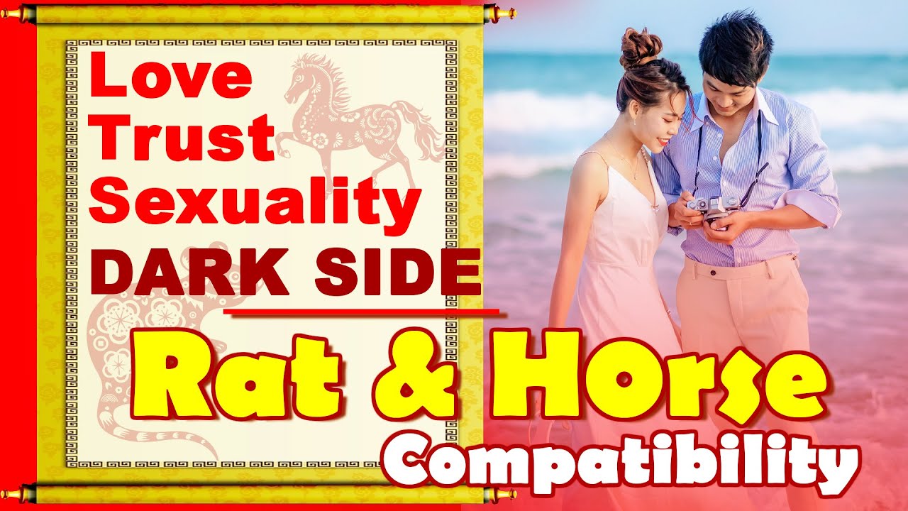 Understanding Horse and Rat Compatibility in Relationships