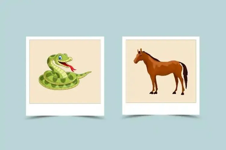 Snake Woman and Horse Man Compatibility: Can This Pair Find True Love?