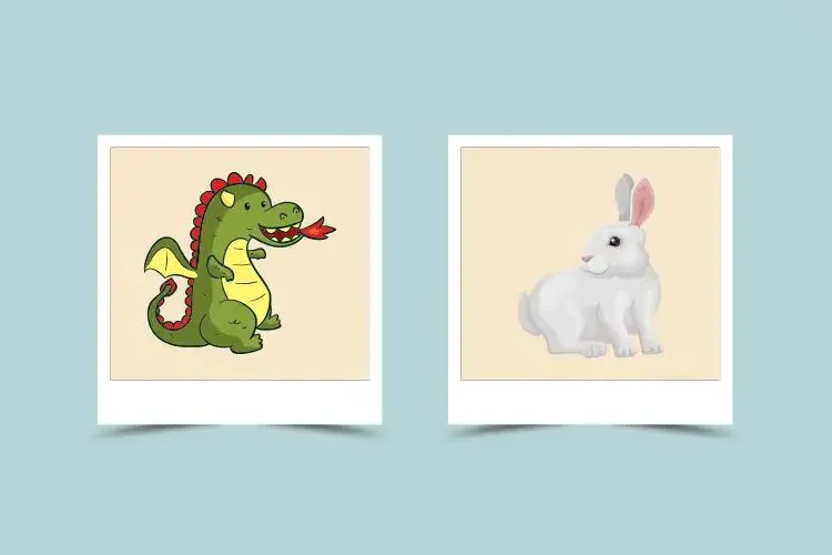 Is Dragon and Rabbit Friendship Possible?  A Compatibility Guide