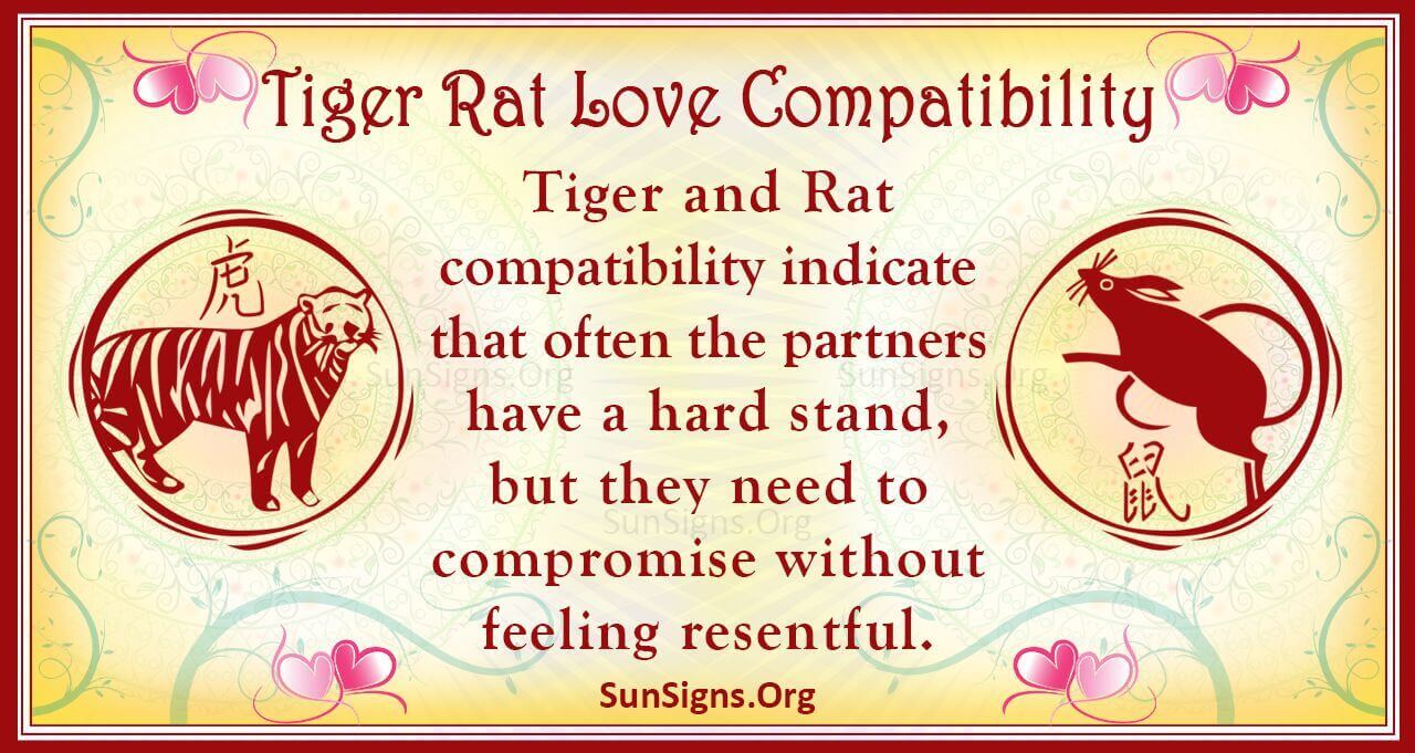 Dating a Tiger When Youre a Rat: Compatibility Tips