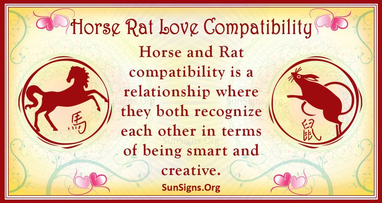 Understanding Horse and Rat Compatibility in Relationships