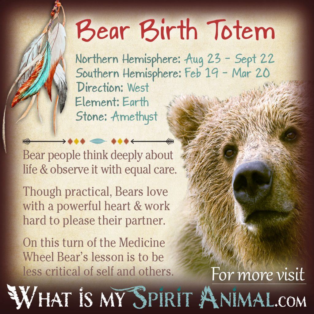 Explore Your Bear Horoscope and Native American Beliefs