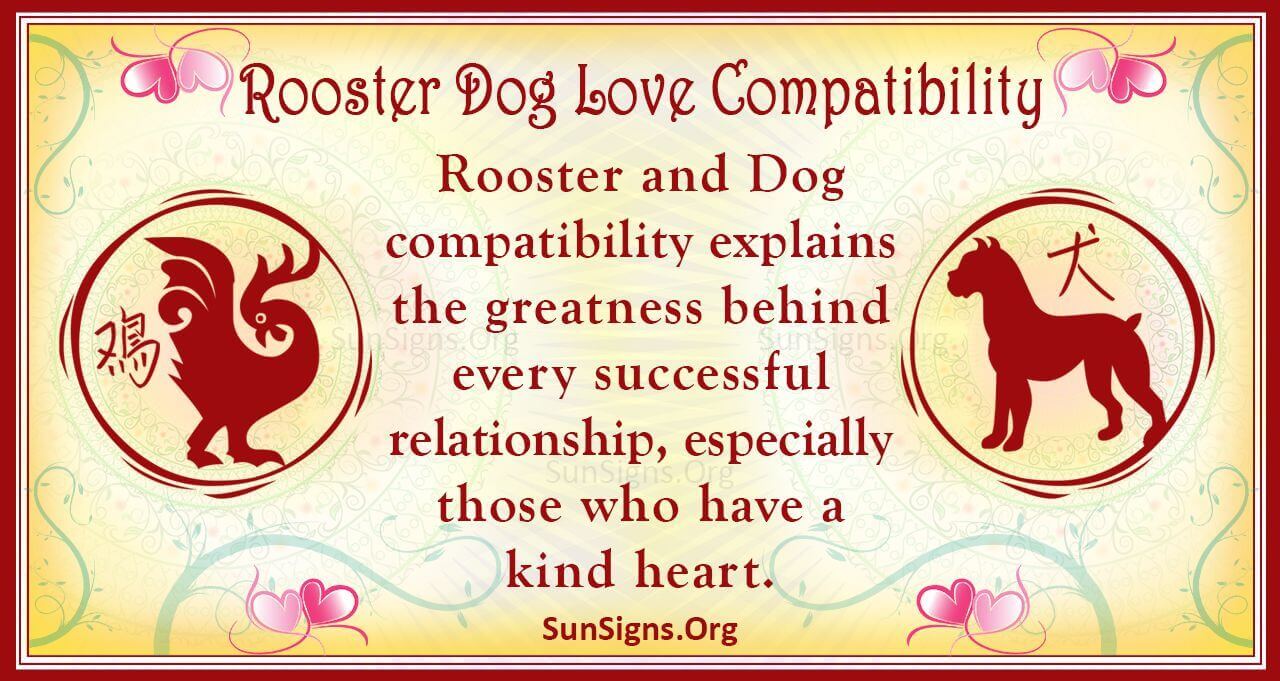 Male Rooster and Female Dog Compatibility: Can This Couple Make It Work?