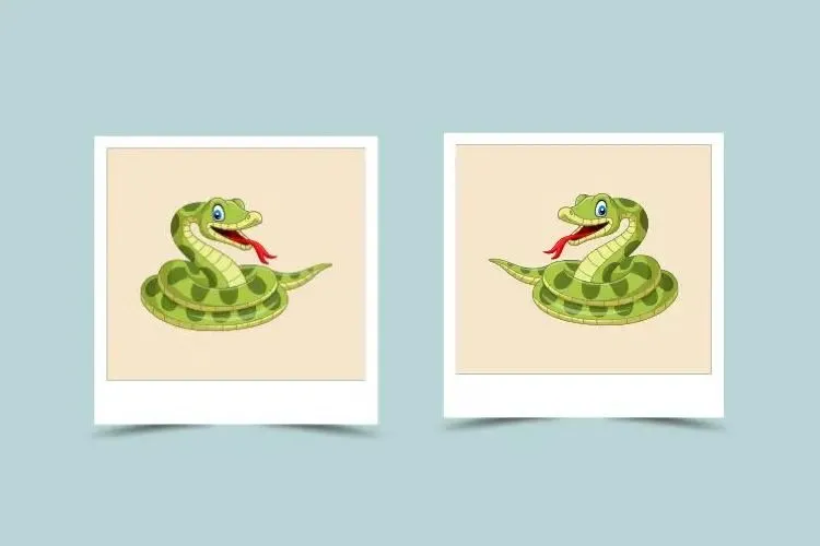 Snake Woman and Snake Man Compatibility:  Are They a Good Match in Love?