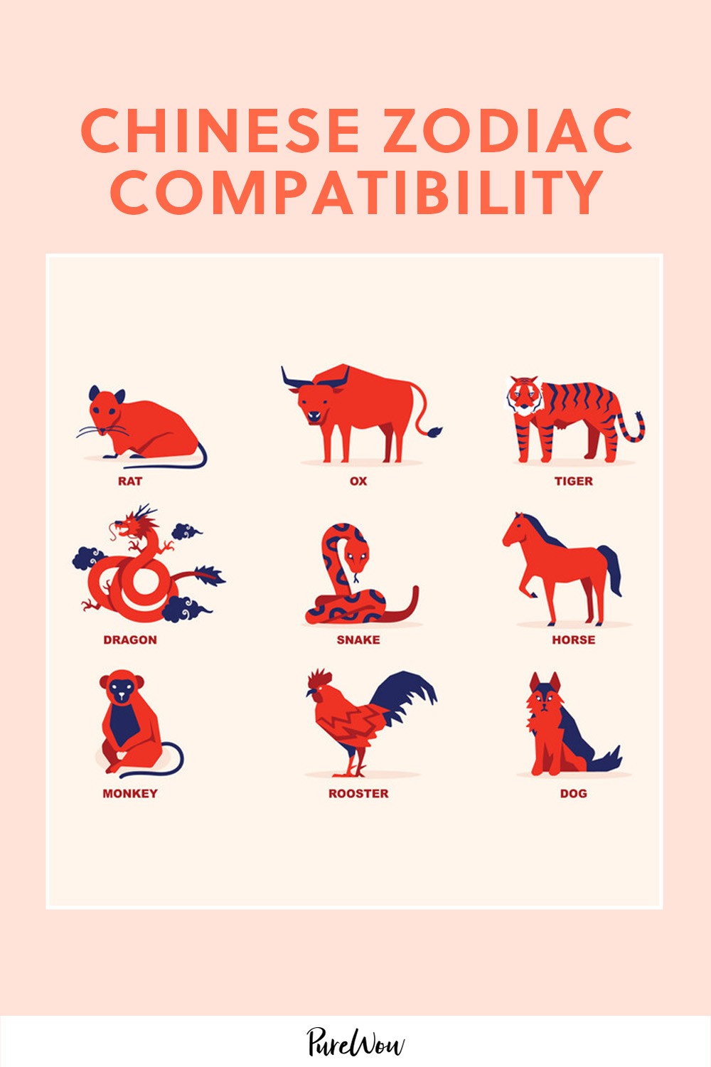 Monkey to Monkey Compatibility: The Simple Guide You Need