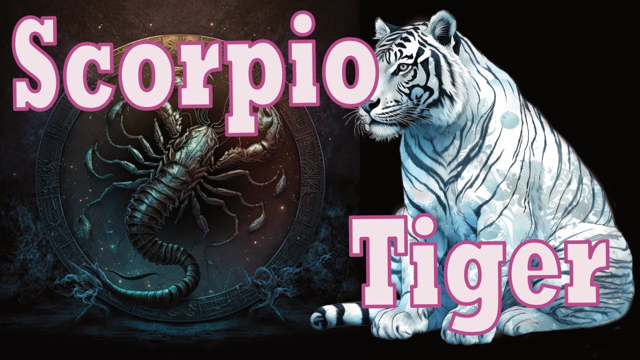 Scorpio Tiger Horoscope: Understand the Personality of Water Tiger