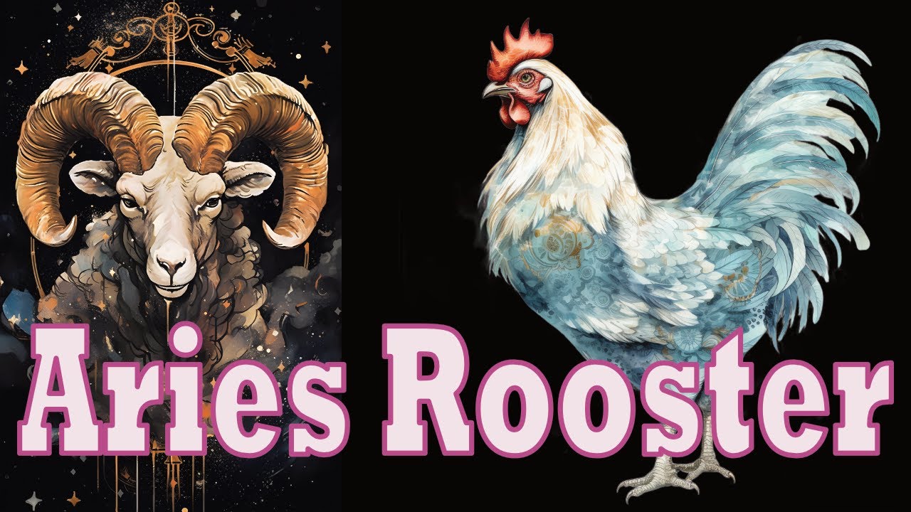 Cracking the Code of Aries Rooster Primal Astrology