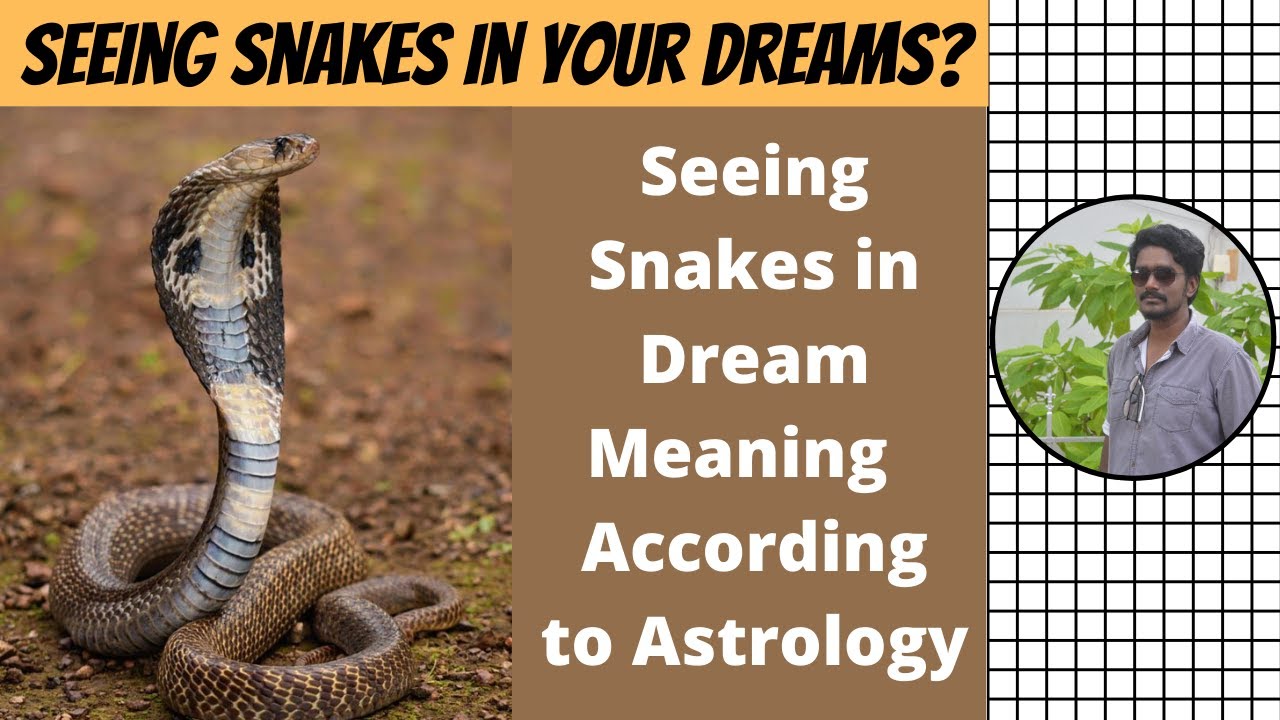 Snakes in Dream Meaning Hindu Astrology: What Your Dream Symbolizes!