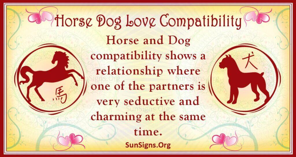 Horse Man and Dog Woman Compatibility: See How They Get Along in a Relationship