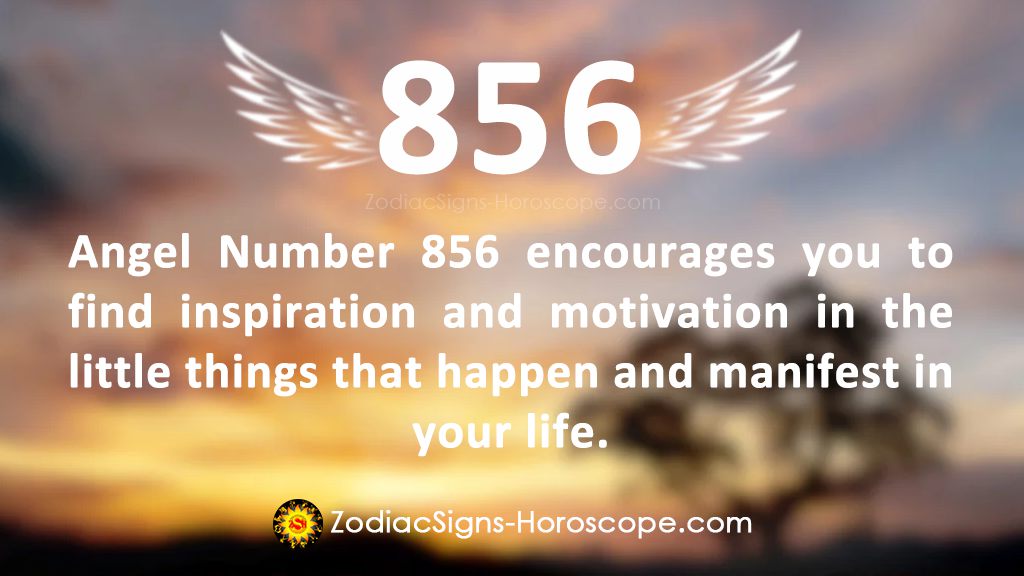 856 Angel Number Meaning: Easy Tips to Understand This Special Number